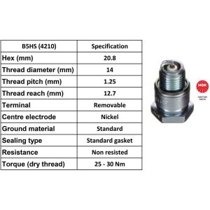 NGK Spark Plug B5HS Plugs [Box 10]