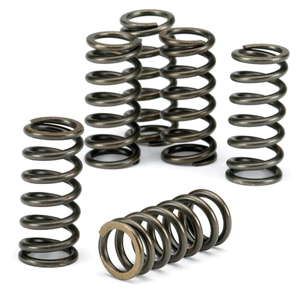 EBC Clutch Spring Kit CSK198