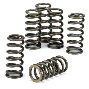 EBC Clutch Spring Kit CSK205