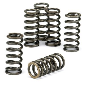 EBC Clutch Spring Kit CSK206