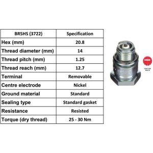 NGK Spark Plug BR5HS Plugs [Box 10]