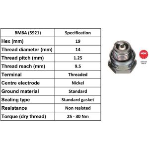 NGK Spark Plug BM6A Plugs [Box 10]