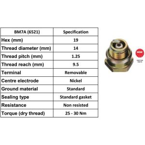 NGK Spark Plug BM7A Plugs [Box 10]