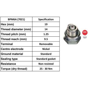 NGK Spark Plug BPM6A Plugs [Box 10]