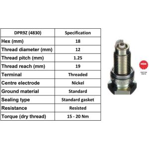 NGK Spark Plug DPR9Z Plugs [Box 10]