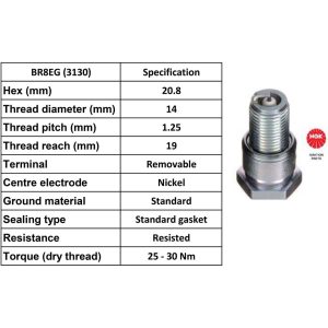 NGK Spark Plug BR8EG Plugs [Box 4]