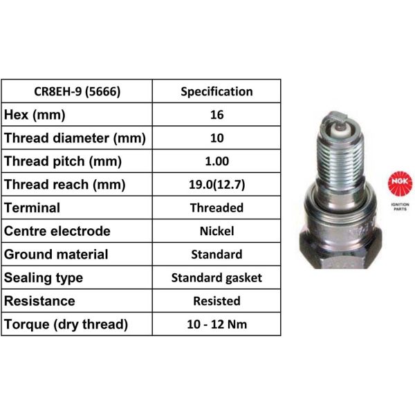 NGK Spark Plug CR8EH-9 Plugs [Box 10]
