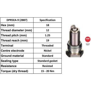 NGK Spark Plug DPR5EA-9 Plugs [Box 10]