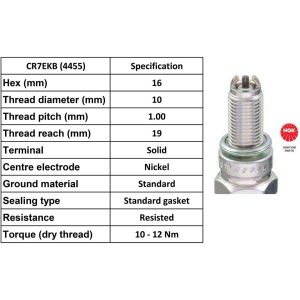 NGK Spark Plug CR7EKB Plugs [Box 10]