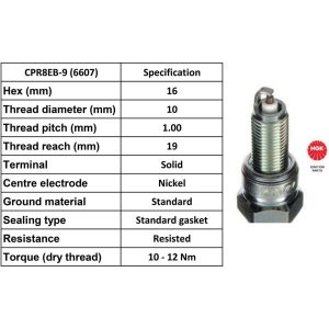 NGK Spark Plug CPR8EB-9 Plugs [Box 10]