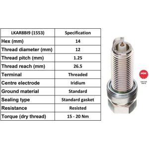 NGK Spark Plug LKAR8B19 Plugs [Box 4]