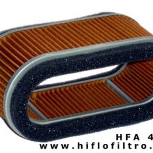 Hiflo HFA4201 Air Filter-SPECIAL ORDER