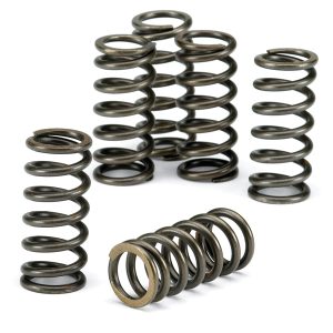 EBC Clutch Spring Kit CSK911